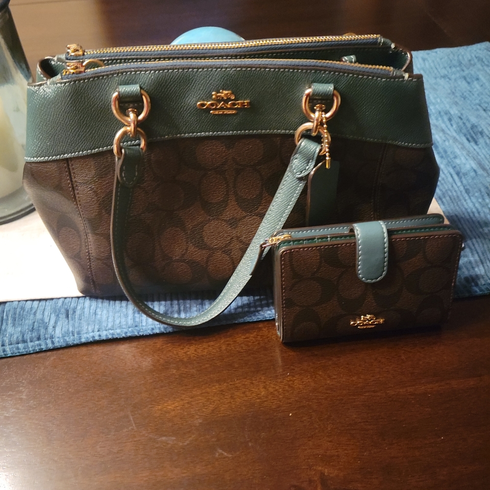 Coach Mini Brooke Carryall and matching wallet set